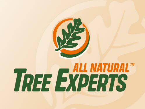 blog cover with company logo