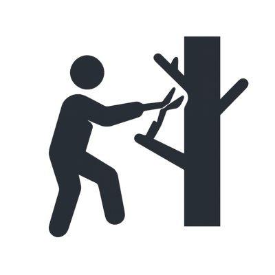 Image for choice number 2