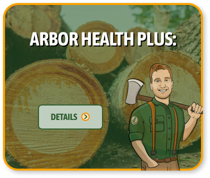 arbor health plus