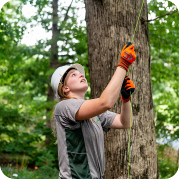 Tree Cable and Bracing in the Christiansburg and Roanoke, VA Areas