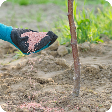 Fertilization and Soil Care in the Christiansburg and Roanoke, VA Areas