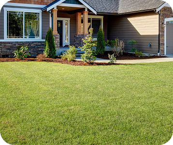 lawn aeration
