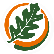 logo icon