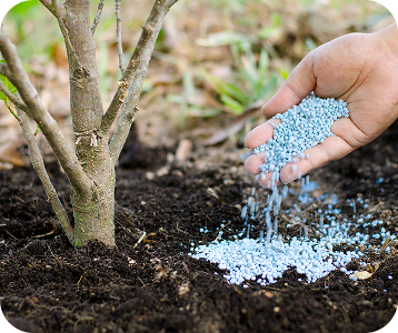 fertilization & soil care