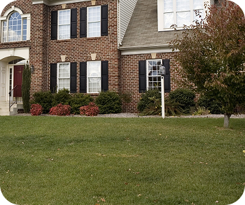 lawn fertilization