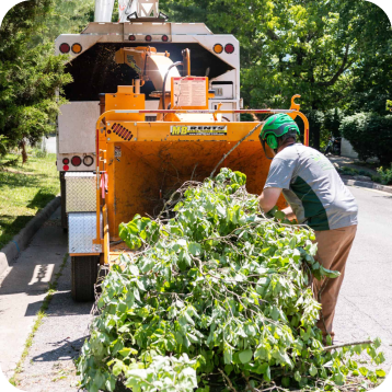 Services We Offer in the Christiansburg and Roanoke, VA Areas